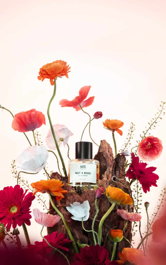 KV - Not A Rose NEENF TRANWGS.webp